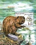 Bulgaria 2025 - castor eurasiatic , 2 blocuri MNH