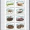 DB1 Fauna Serpi Arahnide Omizi 2001 Brazilia MS MNH