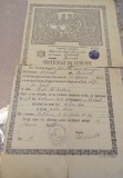 Certificate de cununie 1954