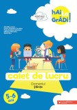 Hai la gradi! stiinte. Caiet de lucru. 5-6 ani - Editura Paralela 45
