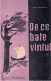 Elena Dumitrescu - De ce bate vantul