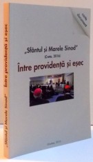 SFANTUL SI MARELE SINOD , INTRE PROVIDENTA SI ESEC , 2016 foto