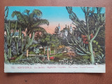 Carte postala, Monte Carlo Les jardins, 1924