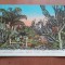 Carte postala, Monte Carlo Les jardins, 1924