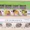 WWF-2-Lot de 3 serii WWF-Estonia+Noua Zeelanda+Republica BENIN MNH