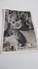 FOTO TIP 9/6CM BRIGITTE BARDOT