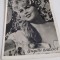 FOTO TIP 9/6CM BRIGITTE BARDOT