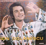 Ion Dolanescu &ndash; Cine intra in Persinari