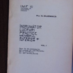 Indrumator lucruri practice membrul superior si inferior vol 1 Gh. Adomnicai