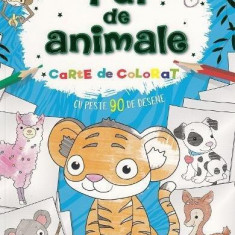 Pui de animale. Carte de colorat - Paperback - *** - Flamingo