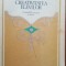 Creativitatea elevilor-Ana Stoica