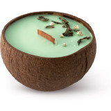 Tropicandle Green Tea lum&acirc;nare parfumată cu fitil din lemn 350 ml