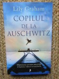 Lily Graham - Copilul de la Auschwitz