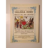 Oglinda inimii omului cel din lăuntru (1999)
