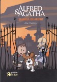 Alfred si Agatha. Silingul de argint de Ana Campoy - Carte pentru copii, Aventura, Mister, Suspans, 2015, Romana, Brosata