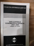 DIN LUPTELE TINERETULUI ROMAN 1919-1939, 1993, Alta editura