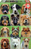 Puzzle 500 piese Dogs Collage, Educa