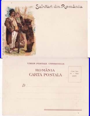 Tipuri - Tigan ursar, ursari- litografie, rara foto