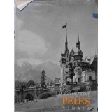 MUZEUL PELES SINAIA-COLECTIV-221255