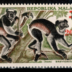 Madagascar 1968, Mi #582**, supratipar, animale, maimute, MNH, cota 6 €!