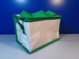 Geanta Termoizolanta Voiaj Alb Verde 20x13x14 cm, Frigorifica Portabila, M&acirc;ner &amp; Bretelă, Camping, Picnic