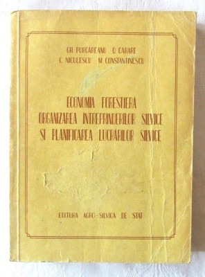 ECONOMIA FORESTIERA. ORGANIZAREA INTREPRINDERILOR SILVICE SI PLANIFICAREA LUCRAR foto