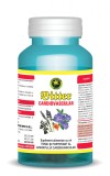 BITTER CARDIOVASCULAR 60cps HYPERICUM