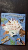 Miracolul vietii pe Pamant. Povestea evolutiei - Anne Rooney