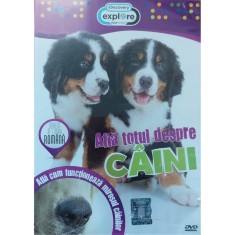 DVD Afla Totul Despre Caini foto