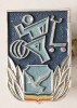 INSIGNA PENTRU ACTIVITATI SPORTIVE ALUMINIU VOPSIT SOIMII PATRIEI SOIM AL SOIMUL SPORT ( CITITI DESCRIEREA )