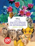 Cumpara ieftin Prima mea enciclopedie cu autocolante. Animale. Plante