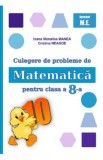 Culegere de probleme de matematica - Clasa 8 - Ioana Monalisa Manea, Cristina Neagoe