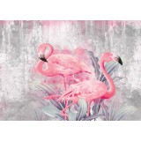 Fototapet Pink Flamingos
