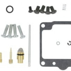 Kit reparatie carburator, pentru 1 carburator (pentru motorsport) compatibil: SUZUKI LS 650 1986-2016