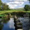 Self-Therapy Workbook: An Exercise Book for the Ifs Process