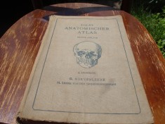 Carl Toldt-Atlas de anatomie umana-Anatomischer Atlas-1907- Neurologia