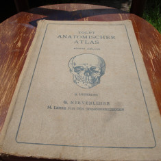 Carl Toldt-Atlas de anatomie umana-Anatomischer Atlas-1907- Neurologia