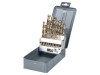 Set burghie PROLINE 19 bucăți pentru metal și oțel HSS-Co