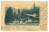 3936 - SINAIA, Prahova, Hunting pavilion, Litho - old postcard - used - 1902, Circulata, Printata