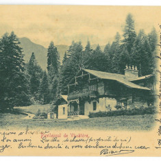 3936 - SINAIA, Prahova, Hunting pavilion, Litho - old postcard - used - 1902