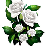 Cumpara ieftin Sticker decorativ, Trandafiri, Alb, 65 cm, 8328ST, Oem