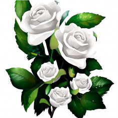 Sticker decorativ, Trandafiri, Alb, 65 cm, 8328ST foto