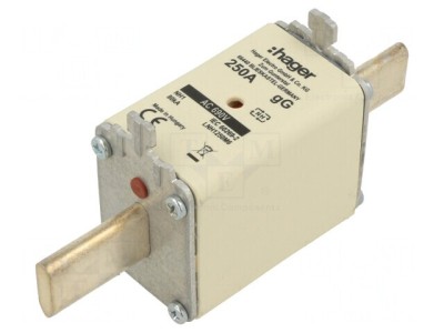 Siguranță Industrială gG 250A 690VAC NH1 foto