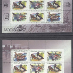 Russia 1994 Birds, 2 perf.sheetlet, MNH AL.038