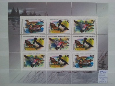 1994-Rusia-Rate-Fara MARKA-Klb.-MNH-Perfect foto