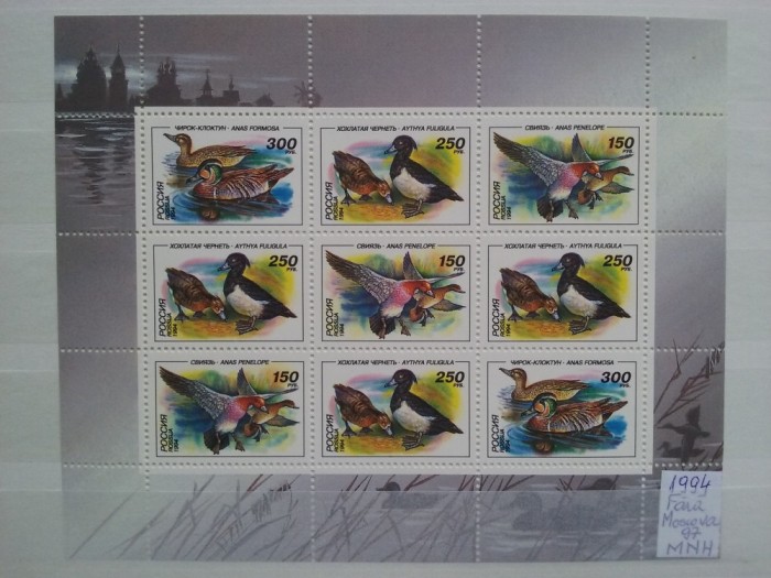 1994-Rusia-Rate-Fara MARKA-Klb.-MNH-Perfect