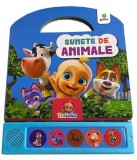 Sunete de animale - Gama