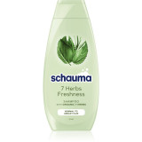 Schwarzkopf Schauma 7 Herbs sampon pe baza de plante pentru par normal spre gras 400 ml