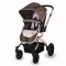 Carucior transformabil 2 in 1 Coccolle Oro