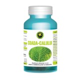 Supliment Coada Calului 60cps Hypericum, Hypericum Plant